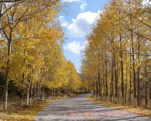 点击浏览下一页